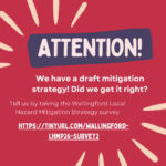 Wallingford Social Media-Survey 2